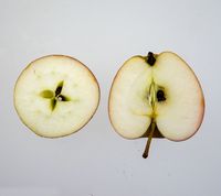 Freiherr von Berlepsch æble